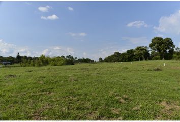 Lote de Terreno en  Cerritos, Pereira