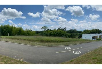 Lote de Terreno en  El Jardín, Pereira