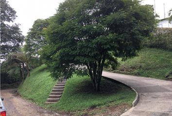 Lote de Terreno en  La Romelia Alta Y Baja, Dosquebradas