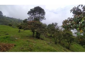 Lote de Terreno en  Barbosa, Antioquia