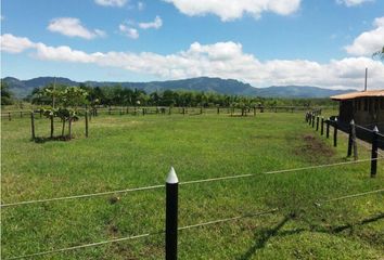 Villa-Quinta en  Montenegro, Quindío