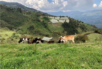 Lote de Terreno en  Donmatías, Antioquia