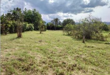 Lote de Terreno en  Andalucía, Valle Del Cauca