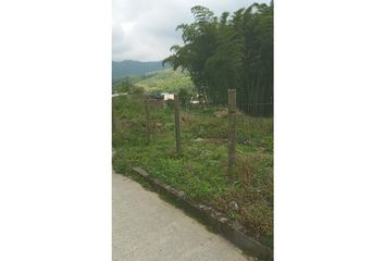 Lote de Terreno en  Kennedy, Pereira