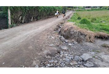 Lote de Terreno en  Centro, Pasto