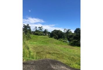 Lote de Terreno en  Los Alpes, Pereira