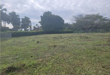 Lote de Terreno en  Cerritos, Pereira