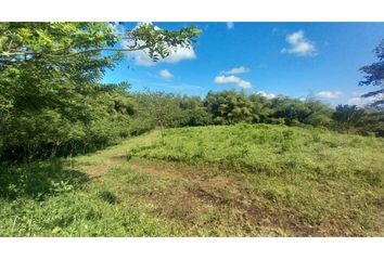 Lote de Terreno en  Cerritos, Pereira