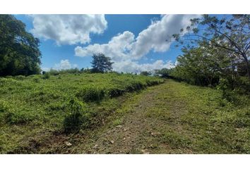 Lote de Terreno en  Cerritos, Pereira