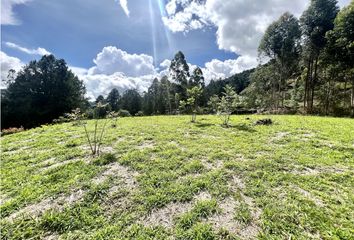 Lote de Terreno en  El Carmen De Viboral, Antioquia