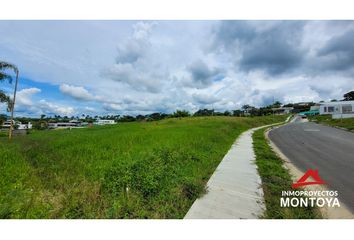 Lote de Terreno en  Cerritos, Pereira