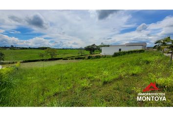 Lote de Terreno en  Cerritos, Pereira