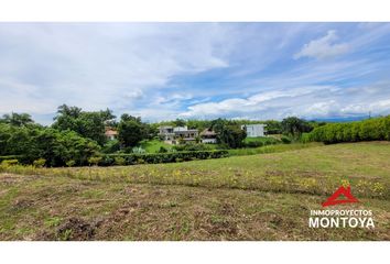 Lote de Terreno en  Cerritos, Pereira