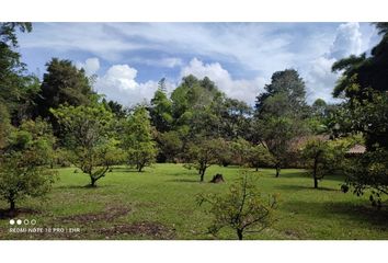 Lote de Terreno en  Rionegro Antioquía