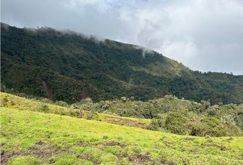 Villa-Quinta en  Centro, Manizales