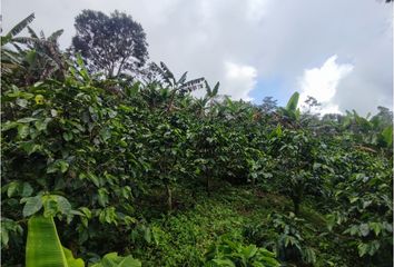 Villa-Quinta en  Guaduas, Cundinamarca