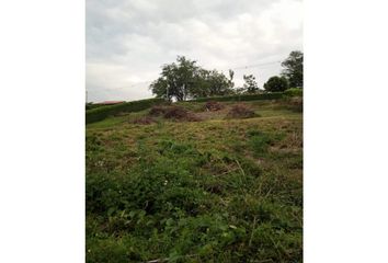 Lote de Terreno en  Palestina, Caldas