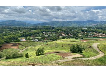 Lote de Terreno en  Palestina, Caldas