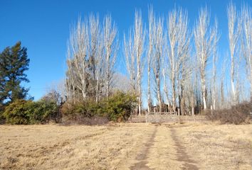 Terrenos en  Calle Los Dos Álamos, San Rafael, Mendoza, Arg