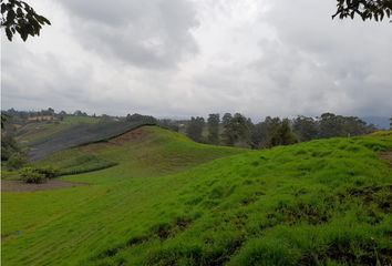 Lote de Terreno en  El Carmen De Viboral, Antioquia