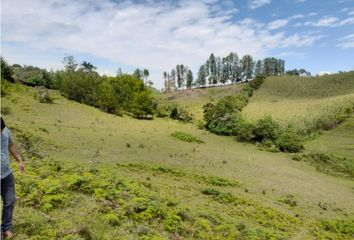 Lote de Terreno en  El Carmen De Viboral, Antioquia