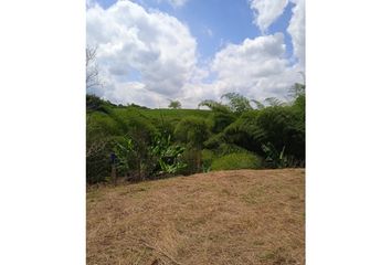 Lote de Terreno en  Sector Centro, Armenia