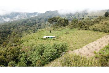 Villa-Quinta en  Labateca, Norte De Santander