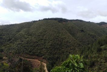 Villa-Quinta en  Urrao, Antioquia