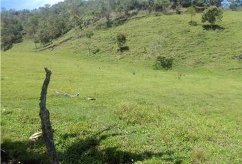 Lote de Terreno en  Marinilla, Antioquia