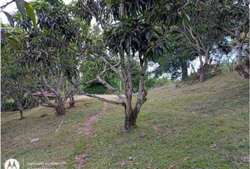 Local Comercial en  Anapoima, Cundinamarca