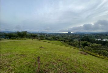 Lote de Terreno en  El Peñol, Antioquia