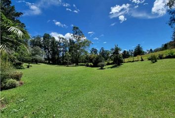 Lote de Terreno en  El Carmen De Chucurí, Santander