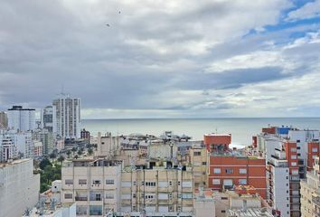 Departamento en  Tribunales, Mar Del Plata