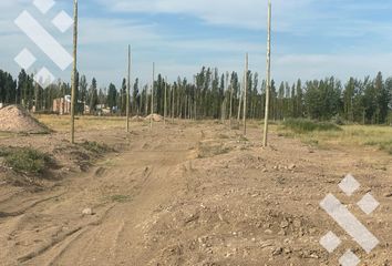 Terrenos en  Valentina Sur Urbana, Neuquén