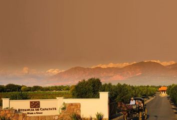 Terrenos en  Cafayate, Salta