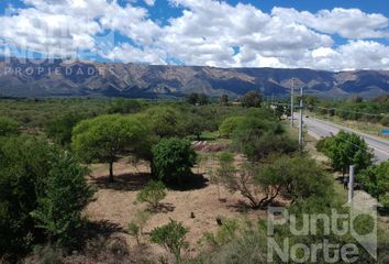 Terrenos en  Merlo, San Luis