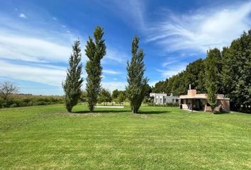 Terrenos en  Puerto Roldán, Roldán