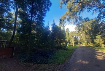 Terrenos en  Bosque Peralta Ramos, Mar Del Plata