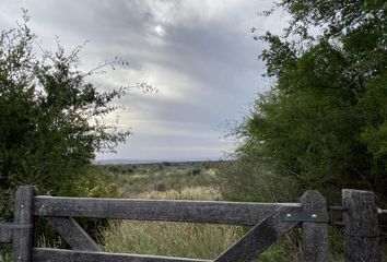 Terrenos en  Papagayos, San Luis