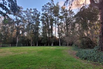 Terrenos en  Benavidez, Partido De Tigre