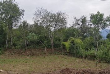 Lote de Terreno en  San Pedro El Álamo, Santiago, Nuevo León