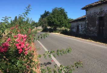 Parcela en  Villa Alegre, Linares