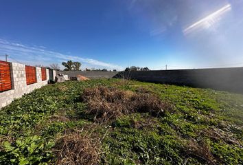 Terrenos en  Tortugas, Partido Del Pilar