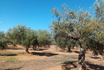 Terreno en  Rossell, Castellón Provincia