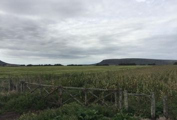 Terrenos en  Balcarce, Partido De Balcarce