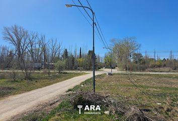 Terrenos en  Cinco Saltos, Río Negro