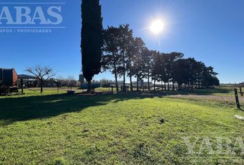 Terrenos en  Santa Lucía, Partido De San Pedro