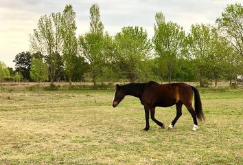 Terrenos en  Barrio Parque Peró, Partido De José C Paz