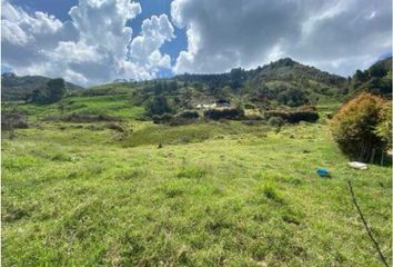 Lote de Terreno en  Donmatías, Antioquia