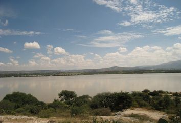 Rancho en  Calle Real Salida A Querétaro, La Palmita, San Miguel De Allende, Guanajuato, 37700, Mex